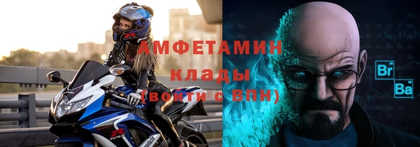 гидра Елабуга