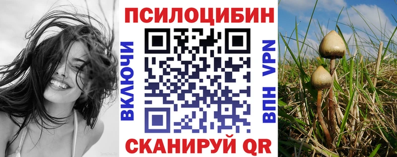 Псилоцибиновые грибы прущие грибы  где найти наркотики  mega зеркало  Талдом 